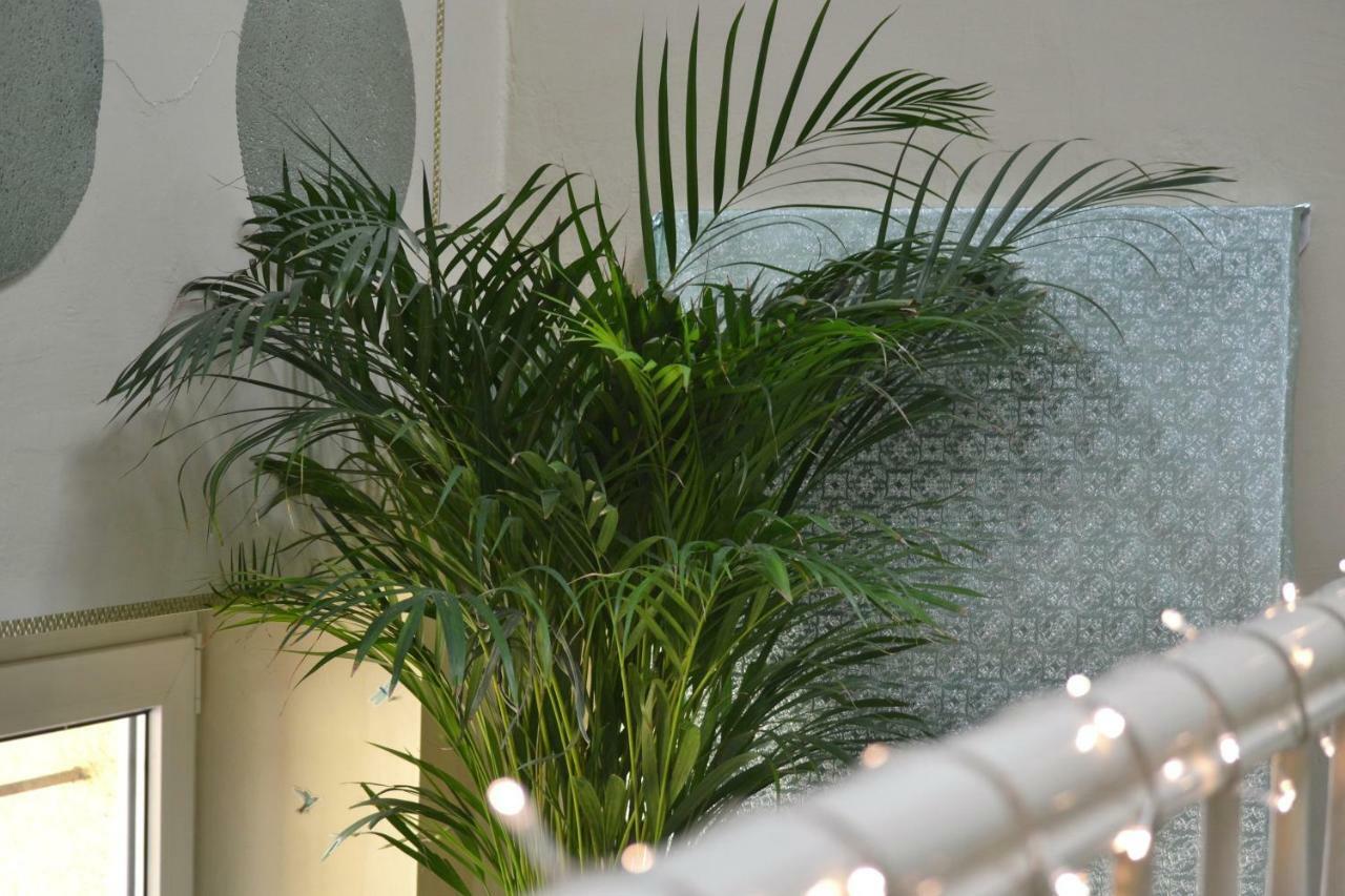 Aloes Studio คราคูฟ ภายนอก รูปภาพ