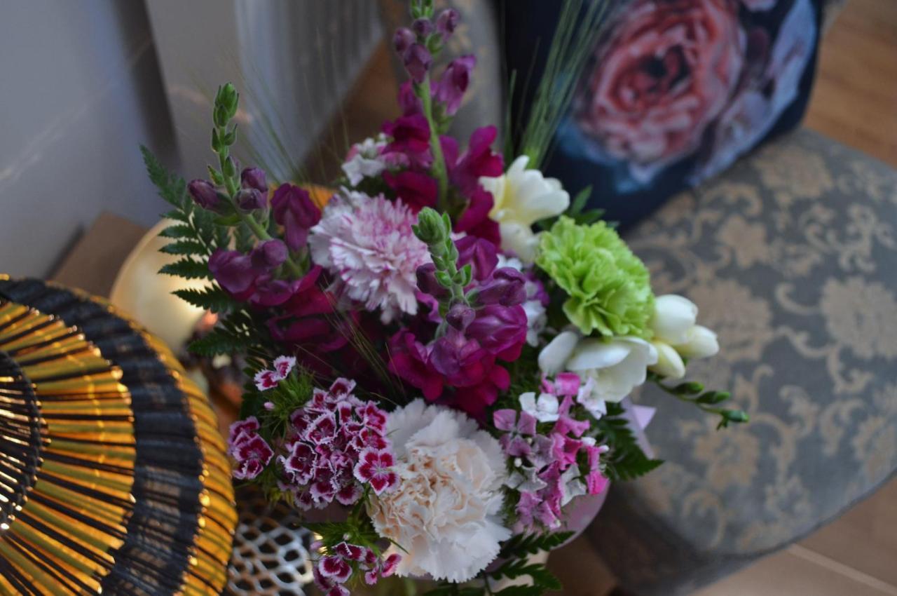 Aloes Studio คราคูฟ ภายนอก รูปภาพ